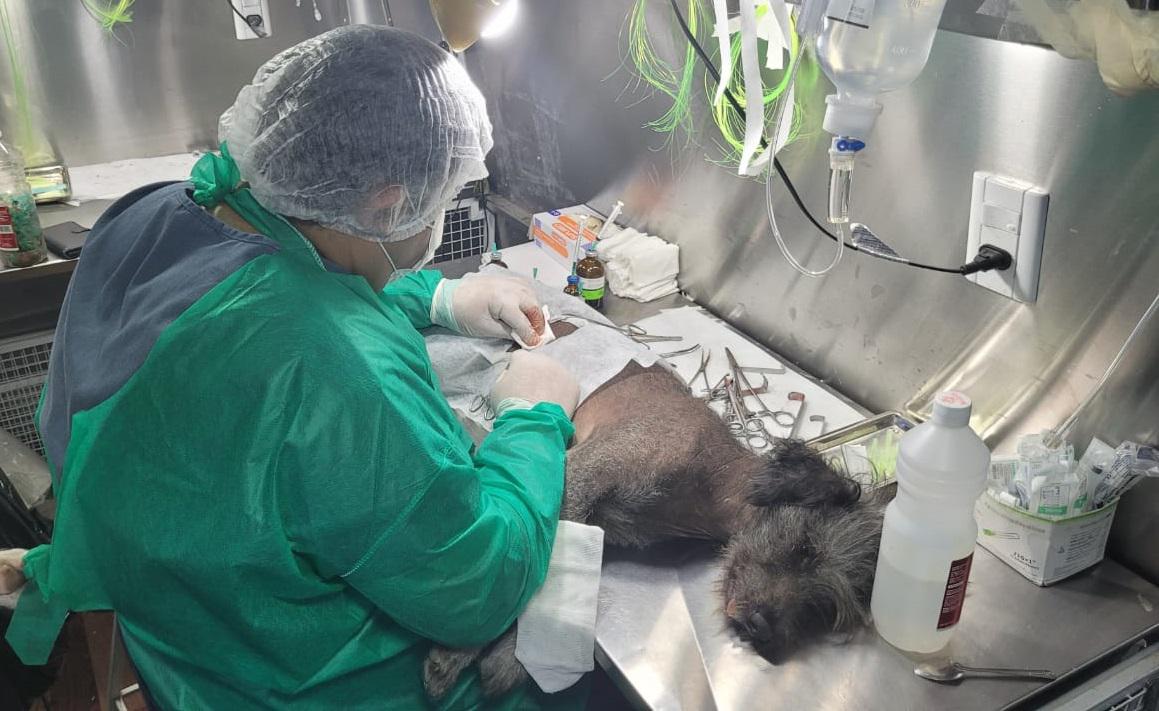 movil-quirurgico-san-benito-2a