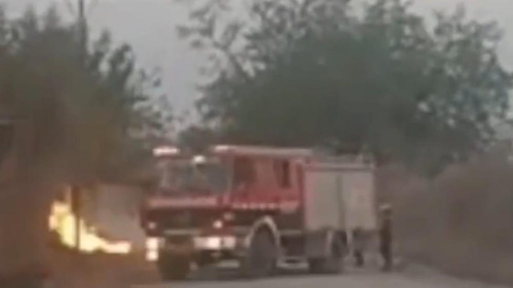 WhatsApp Image 2023-09-19 at 08.52.52 (1)