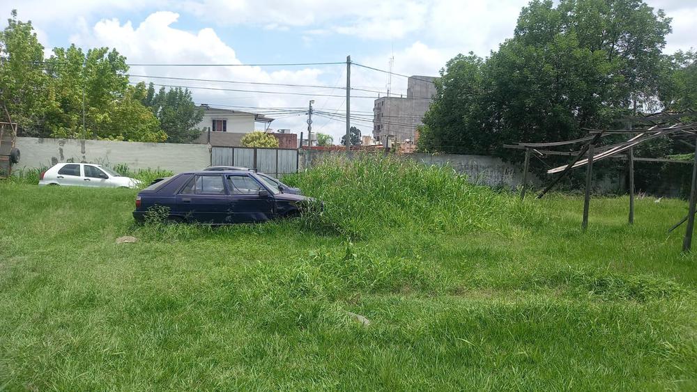 WhatsApp Image 2024-01-10 at 07.31.25 (1)