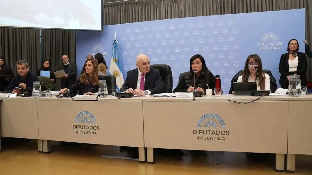 el-oficialismo-busca-acelerar-el-proyecto-de-la-baja-en-la-edad-de-imputabilidad-fuente-diputados-SDKPPUZ2S5AILCNPSXGGYR7GHQ