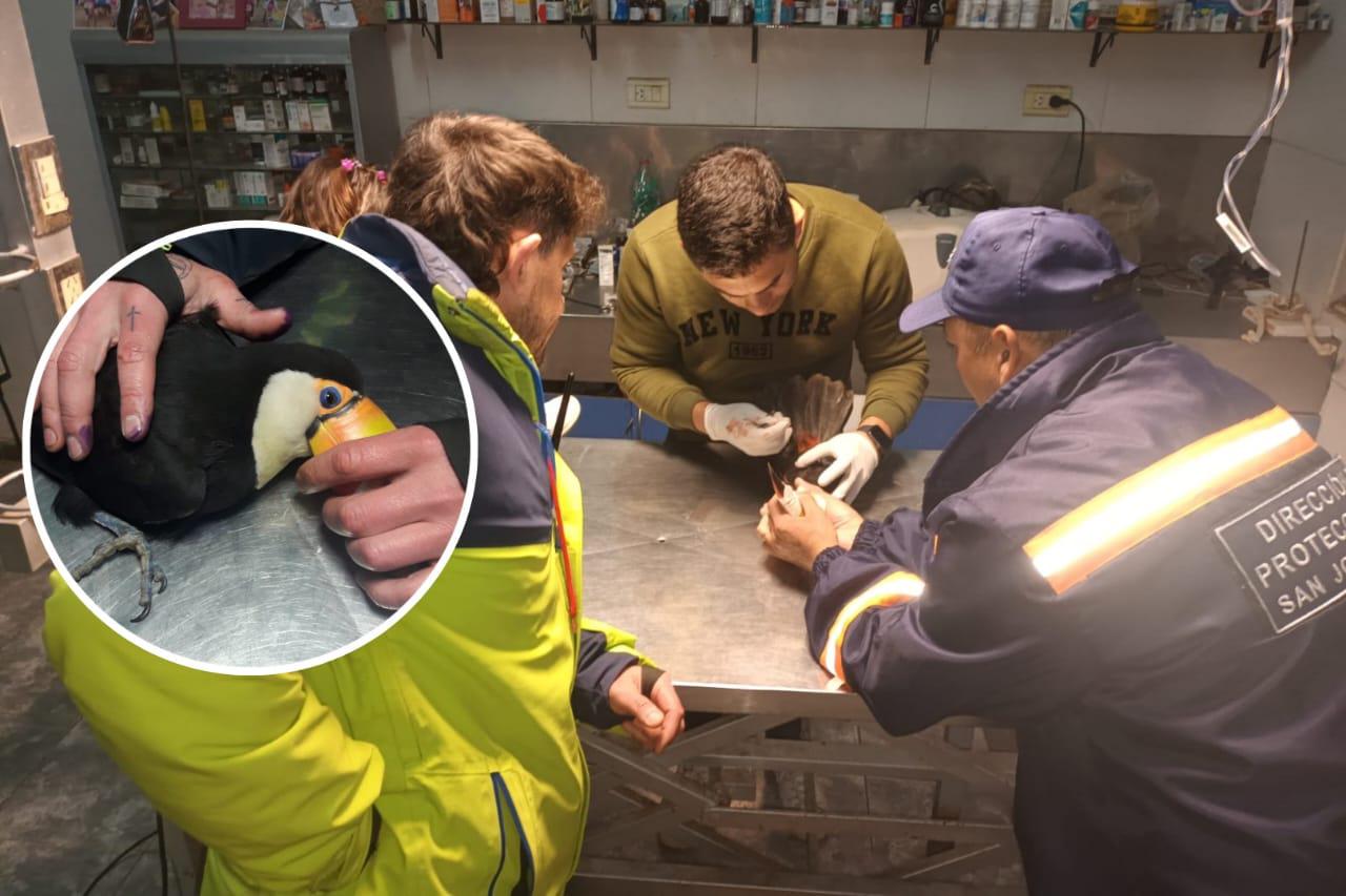 WhatsApp Image 2023-08-15 at 09.37.54