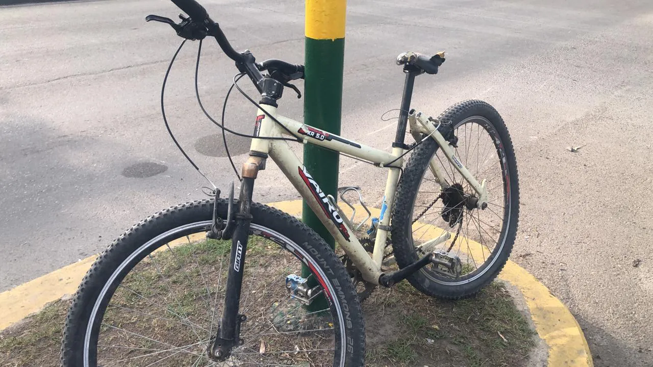 WhatsApp Image 2025-12-01 at 08.13.02