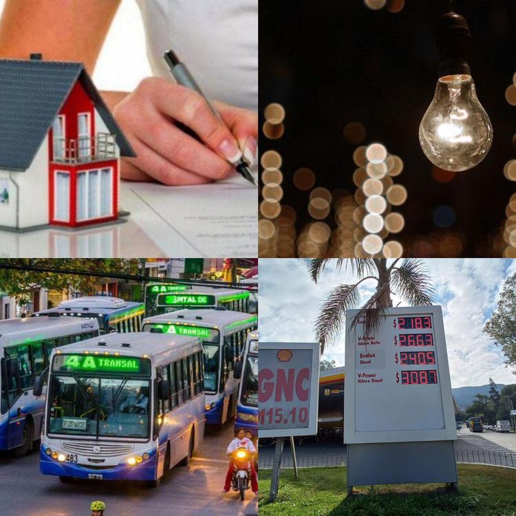 WhatsApp Image 2023-05-30 at 09.39.36