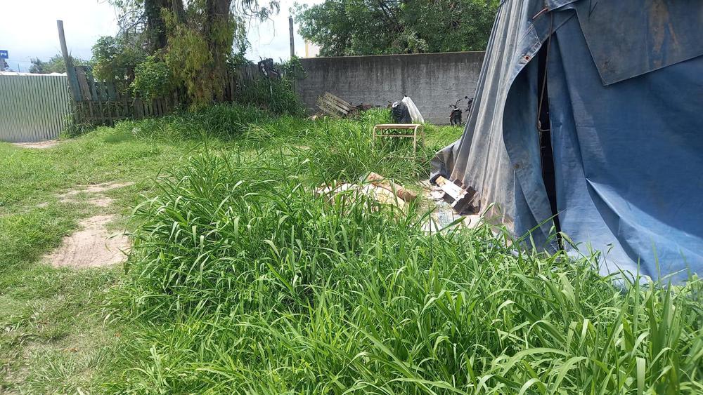 WhatsApp Image 2024-01-10 at 07.31.25