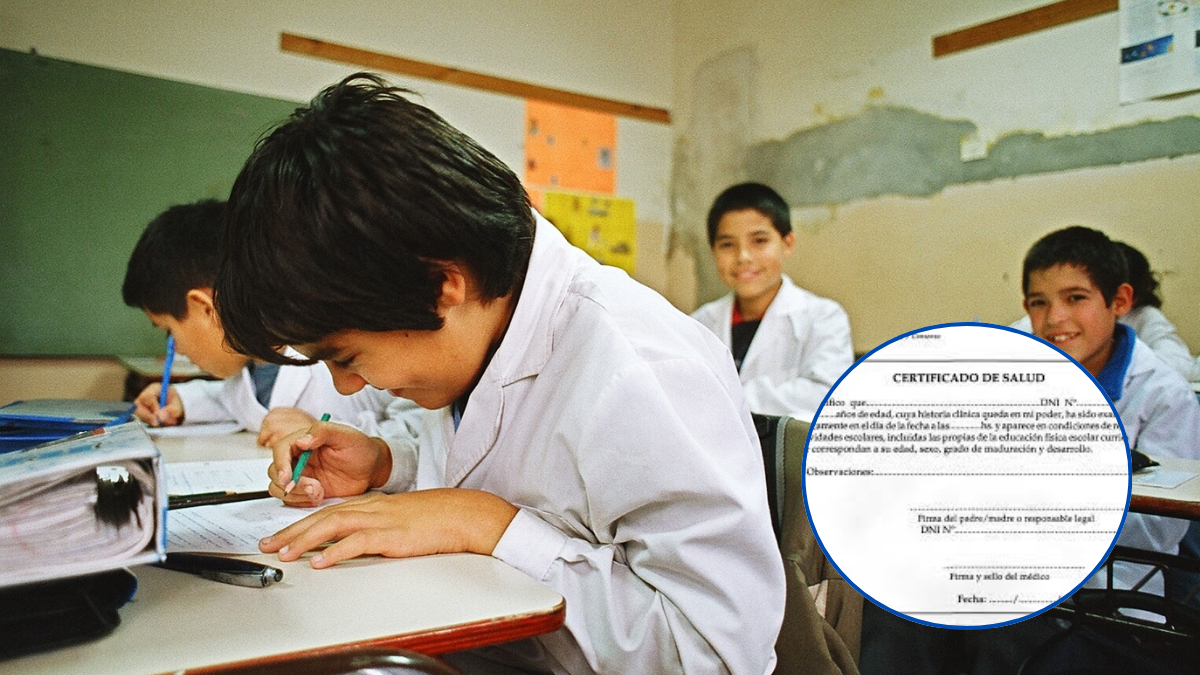 Texto del párrafo - 2024-03-04T080903.505