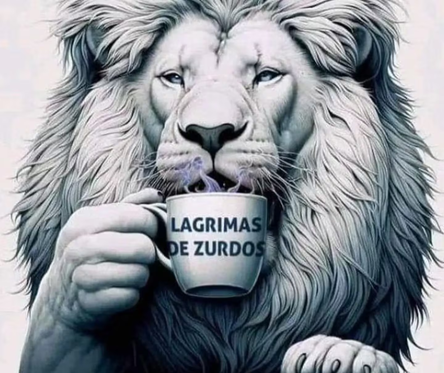 imagen_2024-04-24_095206703