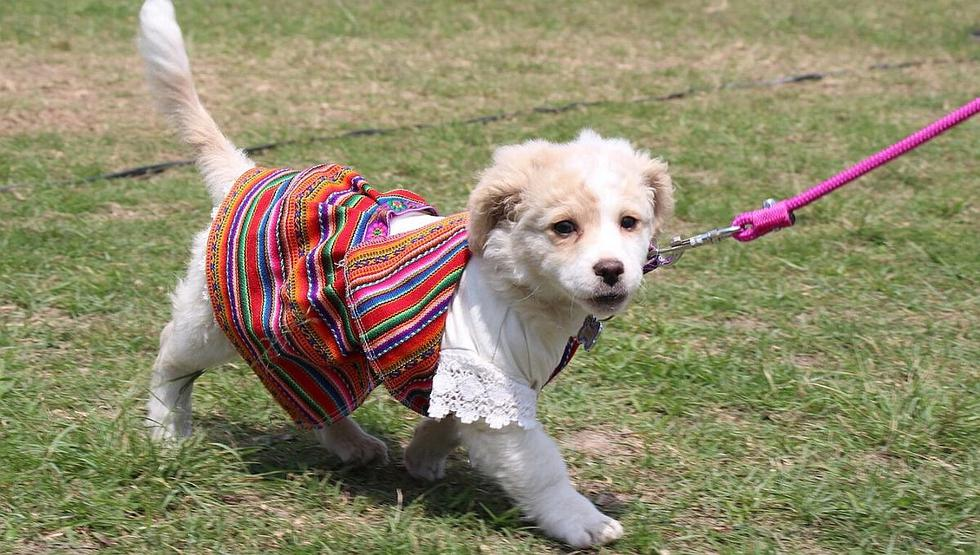 imagen_2024-04-26_081342574