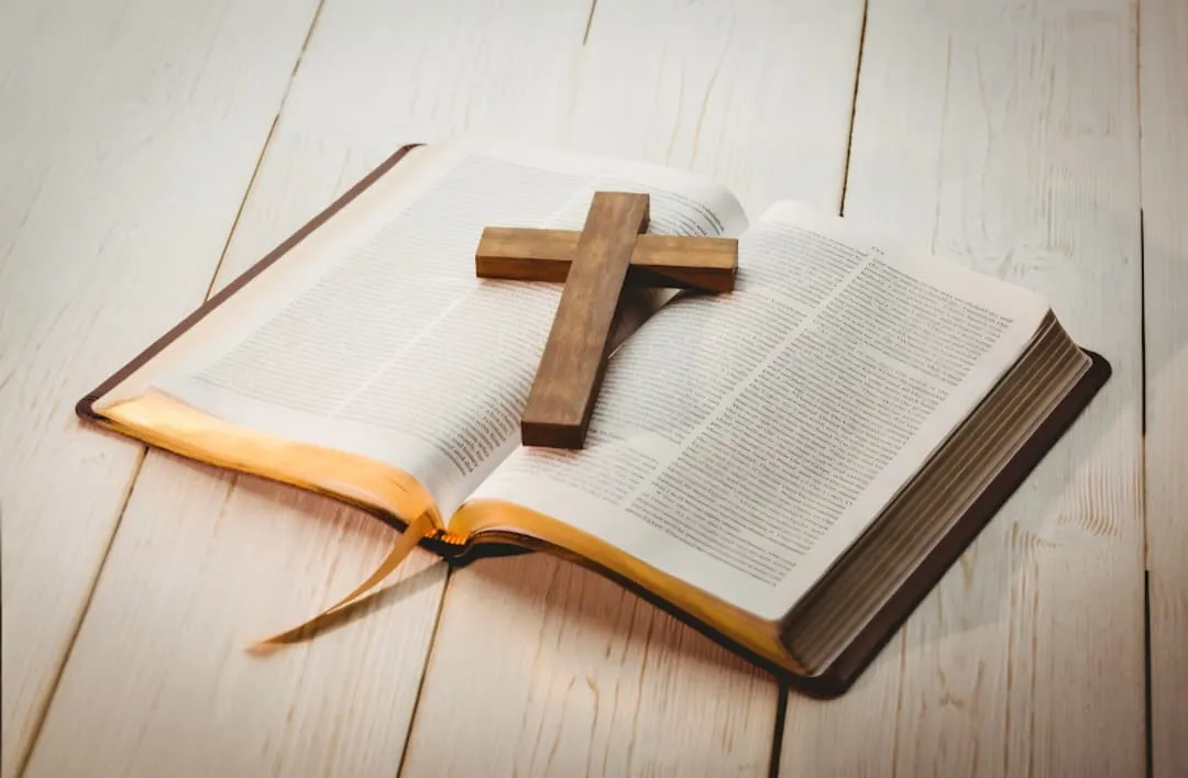 WhatsApp Image 2025-09-16 at 10.17.22