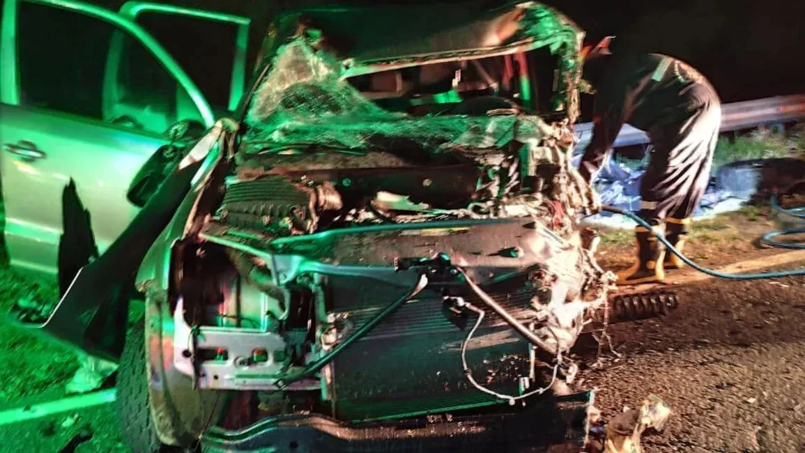 WhatsApp Image 2024-11-08 at 07.34.16