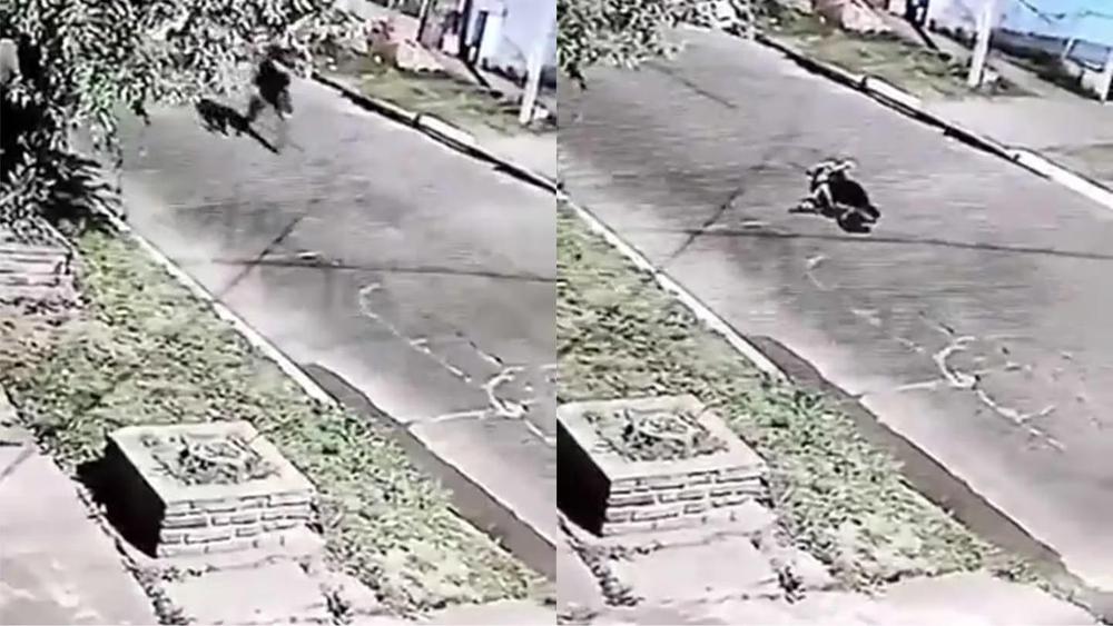 WhatsApp Image 2023-11-30 at 10.31.15