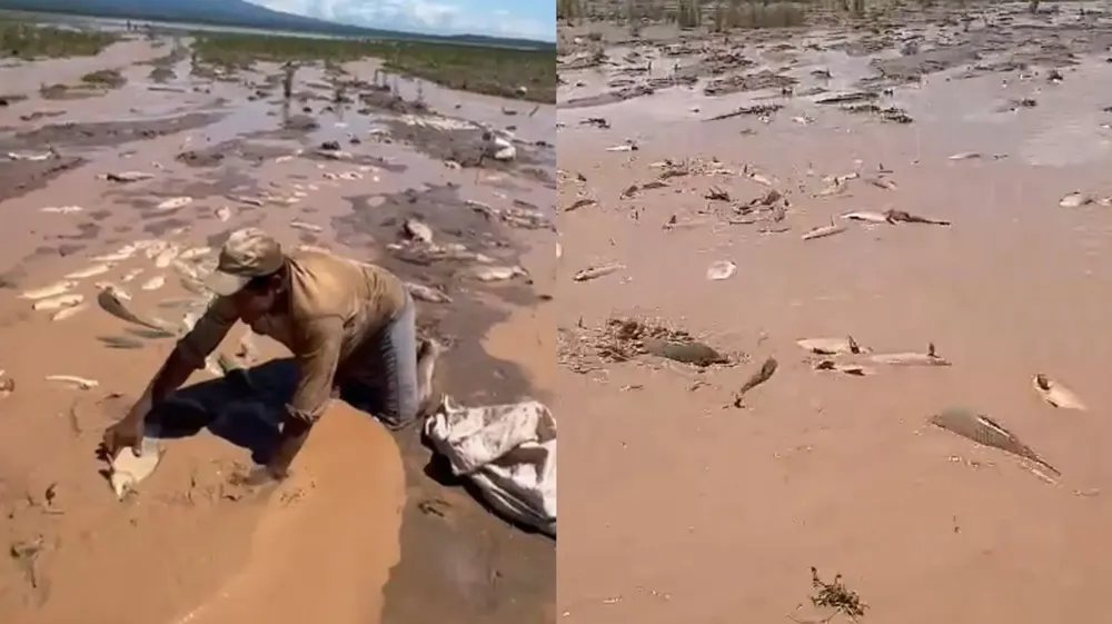 WhatsApp Image 2025-01-13 at 9.35.42 AM