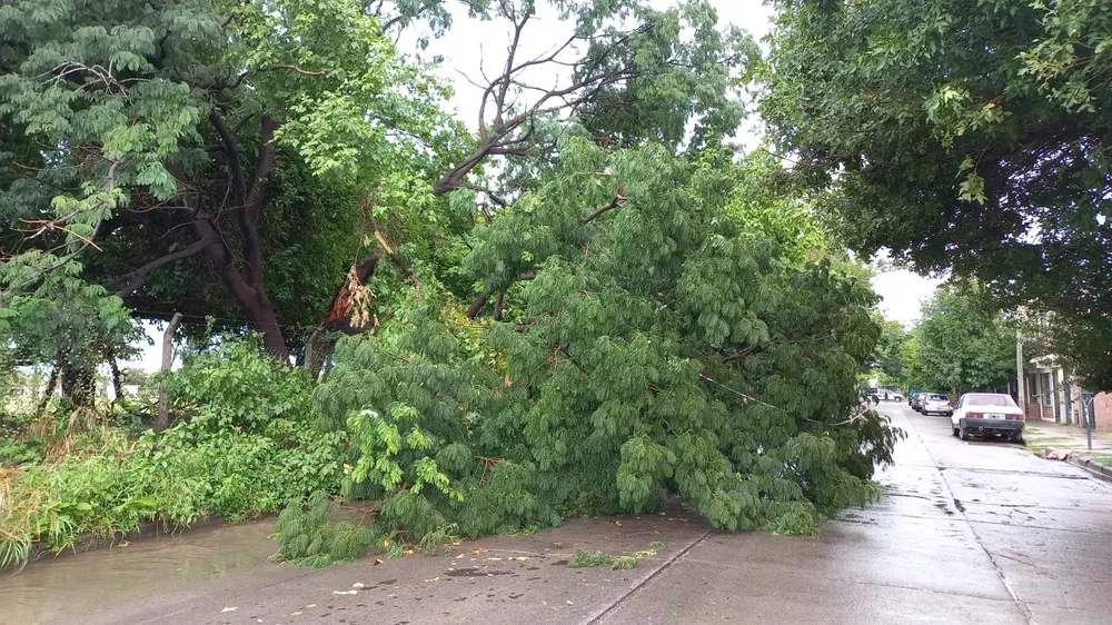 WhatsApp Image 2023-01-23 at 09.21.13