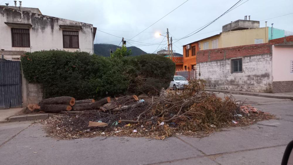 WhatsApp Image 2023-07-14 at 08.05.40 (1)