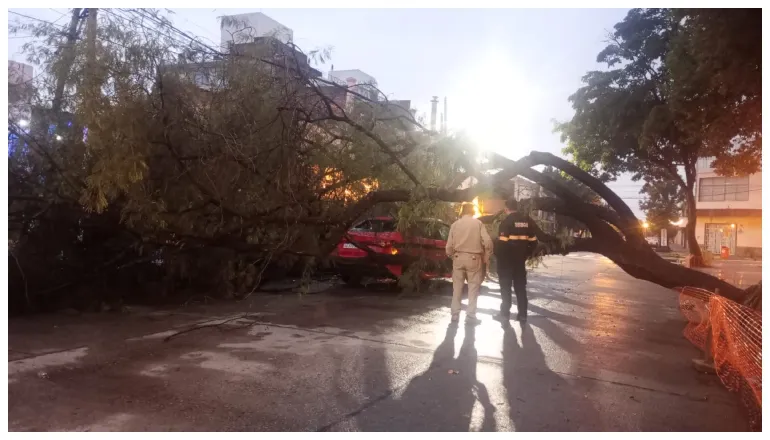 multimedia.normal.94bf7127cb5874f7.w6FyYm9sIHNvYnJlIHRheGlfbm9ybWFsLndlYnA=