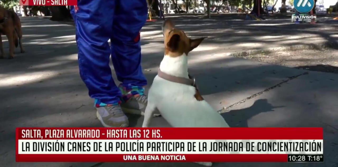 WhatsApp Image 2024-04-29 at 11.04.52