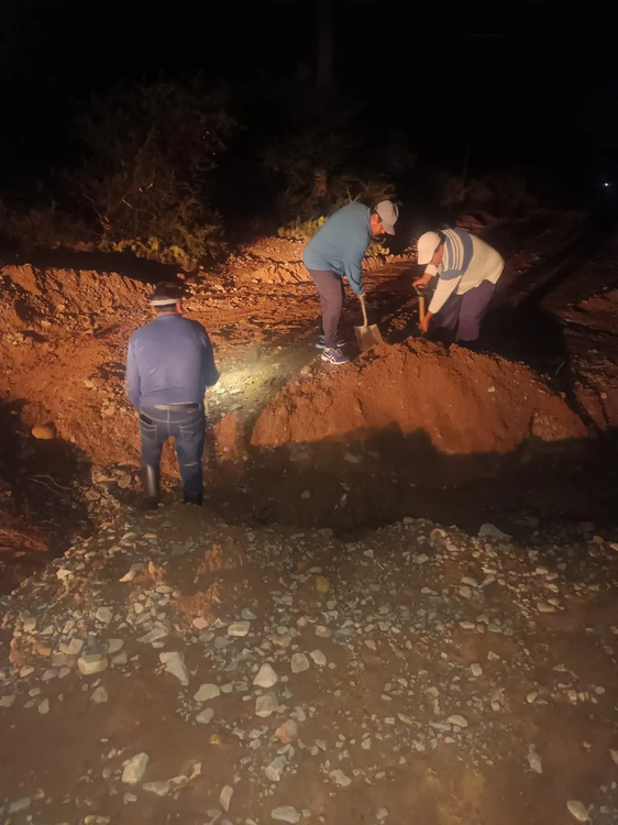 imagen_2024-03-20_080752609